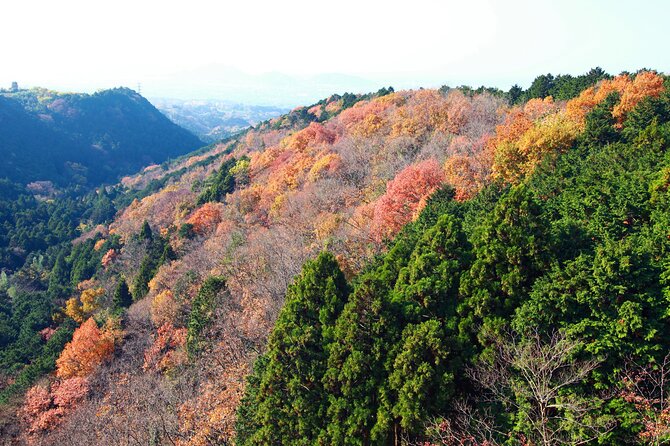 Full Day Private Tour in Hakone - Itinerary Highlights