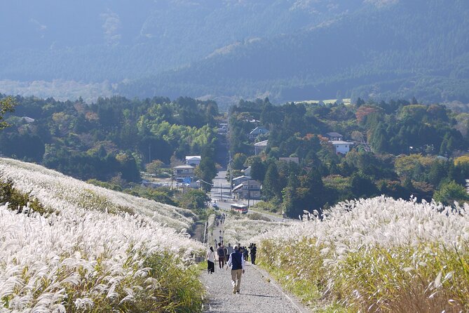 Easygoing Nature Walk in Hakone Tour - Tour Inclusions