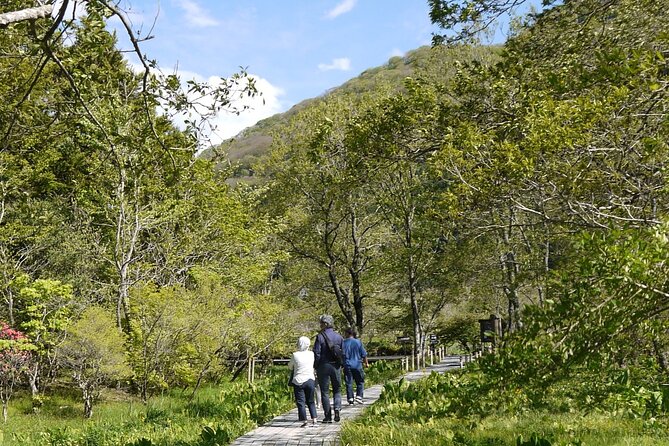 Easygoing Nature Walk in Hakone Tour - Conclusion