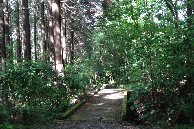 Easygoing Nature Walk in Hakone Tour - Cancellation and Refund Policy