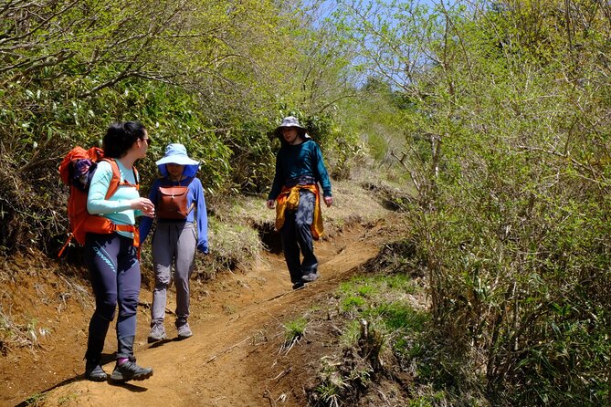 Traverse Outer Rim of Hakone Caldera and Enjoy Onsen Hiking Tour - Conclusion