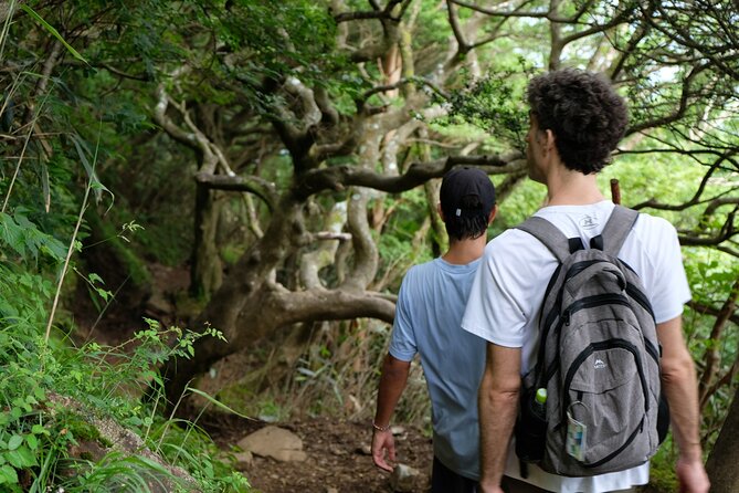 Traverse Outer Rim of Hakone Caldera and Enjoy Onsen Hiking Tour - Frequently Asked Questions