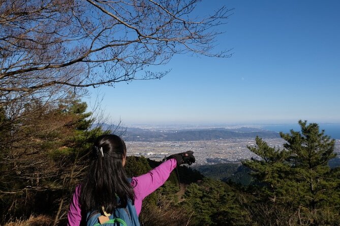 Traverse Outer Rim of Hakone Caldera and Enjoy Onsen Hiking Tour - Tour Directions