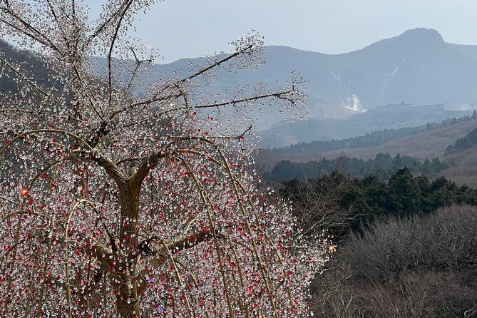 Highlight of Hakone: Private Tour With a Certified National Guide - Other Info