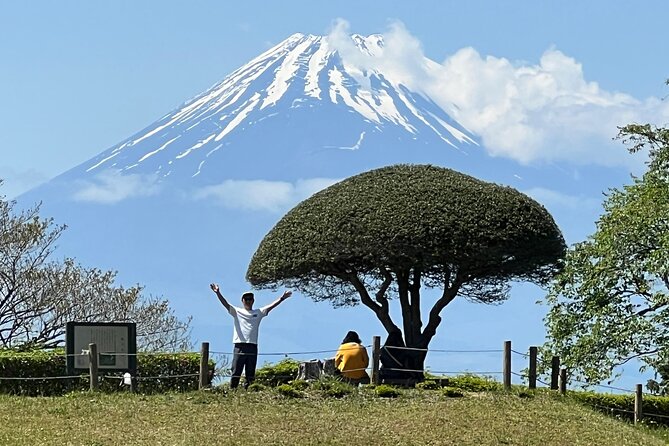 Hike Japan Heritage Hakone Hachiri With Certified Mountain Guide - Key Takeaways