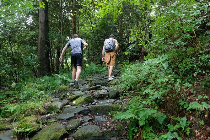 Hike Japan Heritage Hakone Hachiri With Certified Mountain Guide - Weather and Cancellation Policy