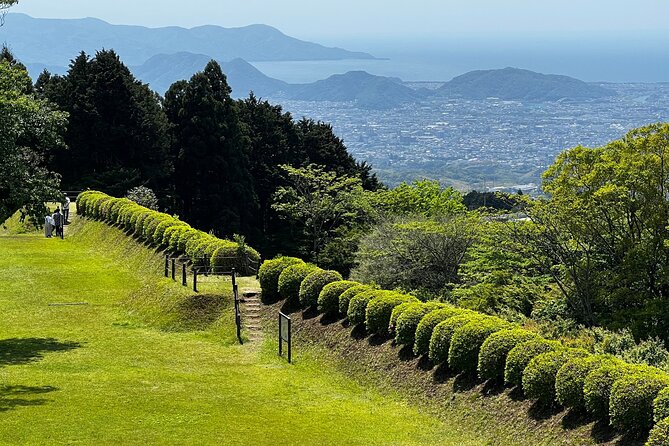 Hike Japan Heritage Hakone Hachiri With Certified Mountain Guide - Additional Details