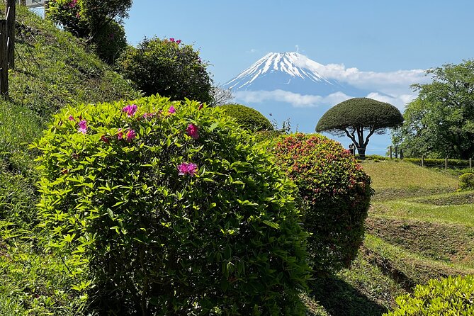 Hike Japan Heritage Hakone Hachiri With Certified Mountain Guide - Reviews and Testimonials