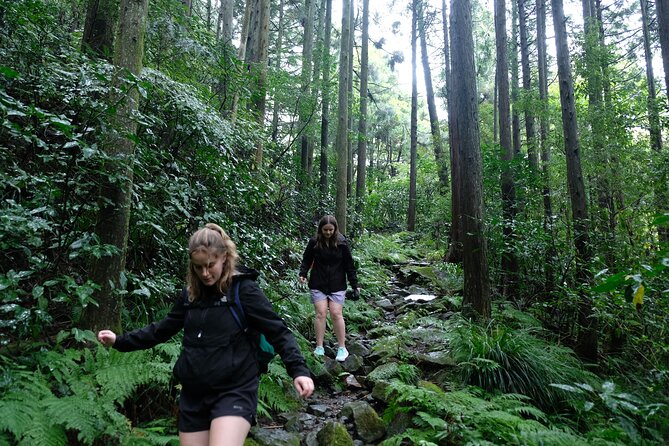 Half Day Forest Bathing in Hakone Geopark - Key Takeaways