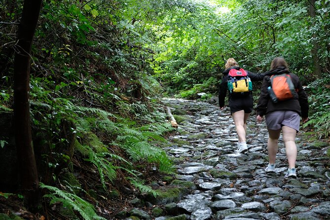 Half Day Forest Bathing in Hakone Geopark - Cancellation Policy and Reviews