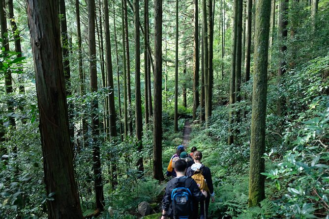 Half Day Forest Bathing in Hakone Geopark - Conclusion