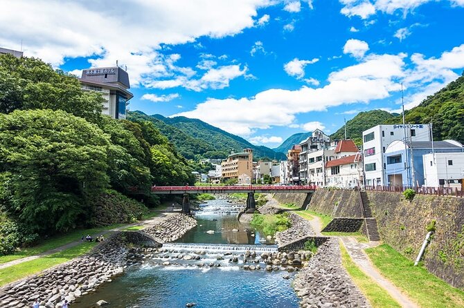 Hakone 6 Hour Private Tour With Government-Licensed Guide - Accessibility and Safety