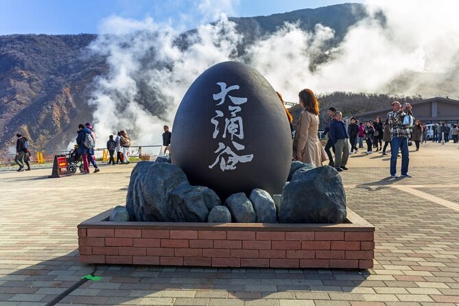 Hakone 6 Hour Private Tour With Government-Licensed Guide - Reviews and Testimonials