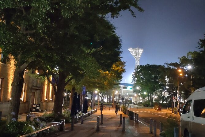 Yokohama Private Tour -Night View- - Additional Information