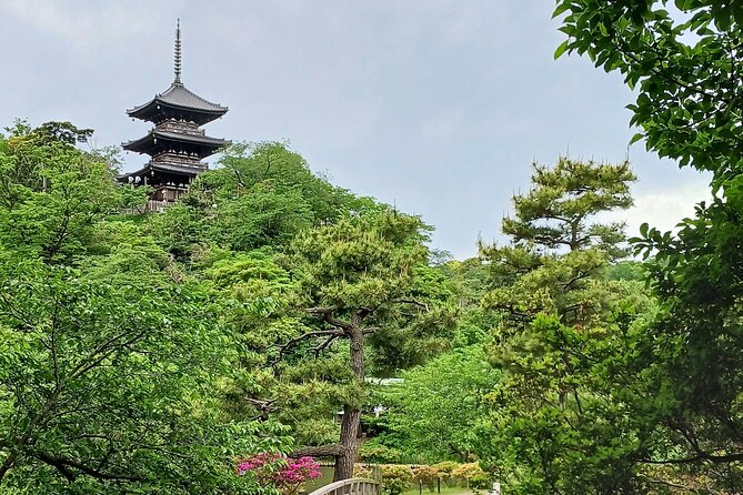 Guided History & Nature Exploration in the Yokohama Hill Area - Additional Info