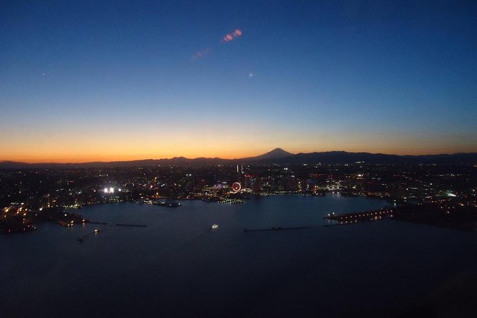 Private Helicopter Tour to See Mt Fuji or Tokyo Tower - Key Takeaways