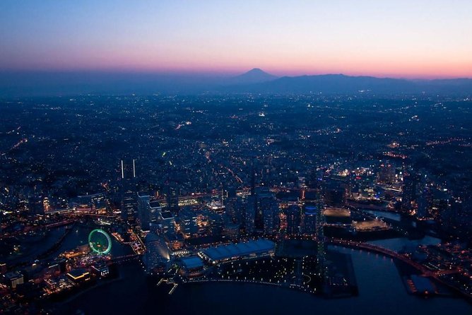 Private Helicopter Tour to See Mt Fuji or Tokyo Tower - Important Guidelines and Restrictions