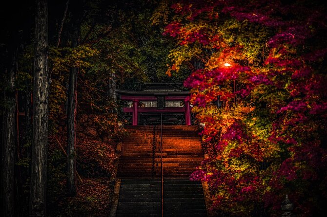 Small-Group Photography Tour in Takayama - Restrictions