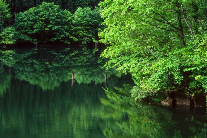 Kamikochi Feel Nature and Hiking 1 Day Trip (Near Takayama) - Key Takeaways