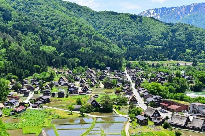 Departing From Takayama [Regular Sightseeing Bus] World Heritage Sites Shirakawago and Gokayama Ainokura - Reviews