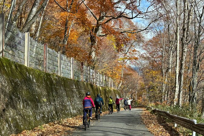 E Bike Rental in Takayama Gifu Mountain Cycling - Conclusion