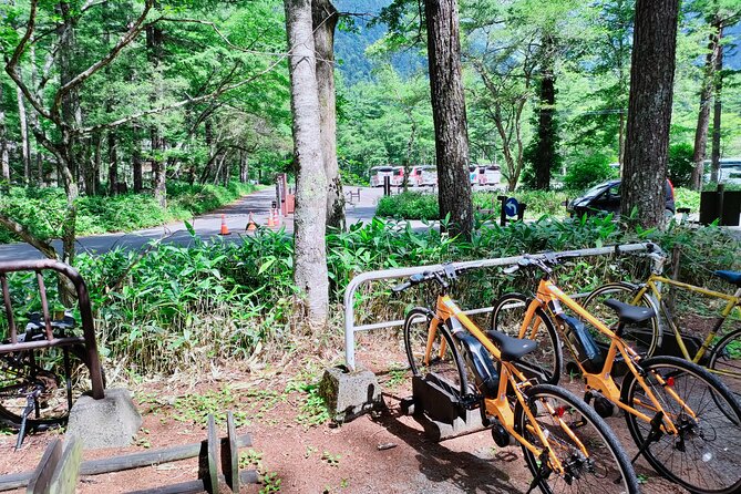 E Bike Rental in Takayama Gifu Mountain Cycling - Pricing and Booking