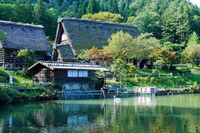 Takayama Full-Day Private Tour With Government Licensed Guide - Reviews