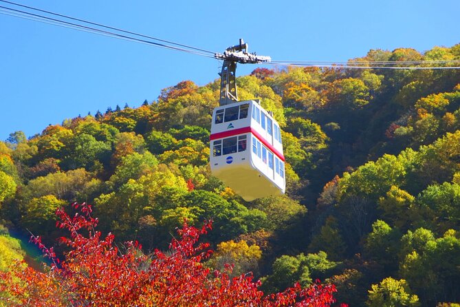 From Takayama: Alpine Splendor - Shinhotaka Ropeway and Kamikochi - Reviews