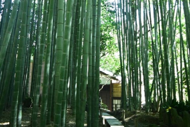 Kamakura Private Tour by Public Transportation - Hosts Response and Feedback