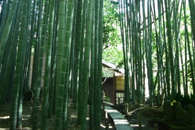 Kamakura Bamboo Forest and Great Buddha Private Tour - Highlights From Travelers