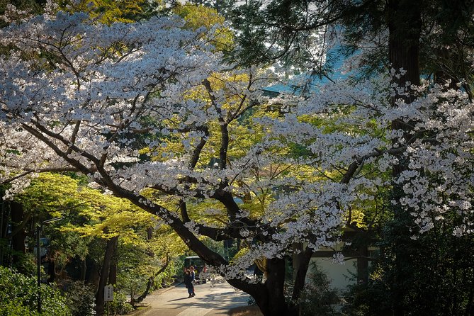 A Fun Day Out Discovering Kamakura - Frequently Asked Questions