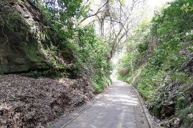 Private Tour From North Kamakura Temples & Shrine - Reviews