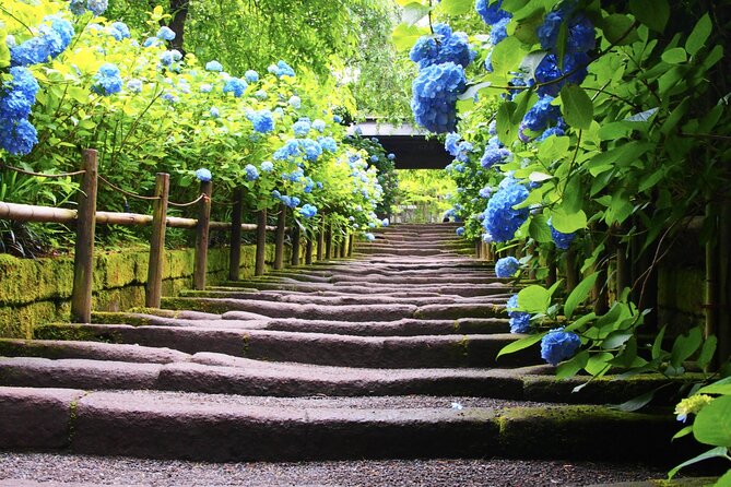 4-Hour Private Tour of Kamakura With Government-Licensed Guide - Price and Booking