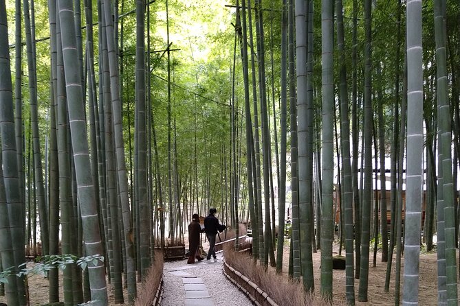 Kamakura One Day Walking Private Tour - Additional Info