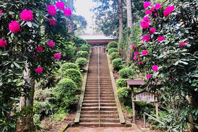 Buddha, Bamboo & Zen - Bespoke Kamakura Private Walking Tours - Reviews and Highlights