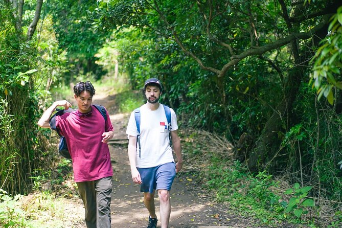 Kamakura Historical Hiking Tour With the Great Buddha - Additional Information and Guidelines