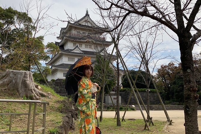 Kimono Dressing & Tea Ceremony Experience at a Beautiful Castle - Inclusions and Exclusions