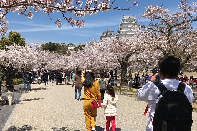 HIMEJI CASTLE Custom Tour With Private Car and Driver (Max 9 Pax) - Door-to-Door Service