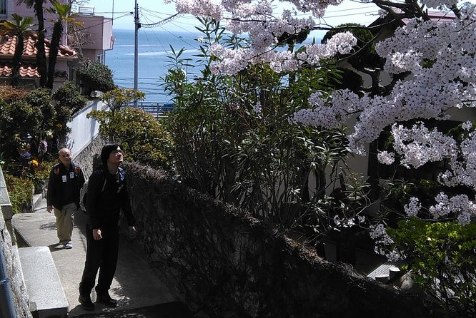 KOBE, SHIOYA, a Quaint Fishing Town Walking Tour - Customer Reviews