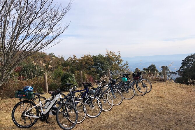 Guided E-Bike Tours in Bungoono City - Key Takeaways