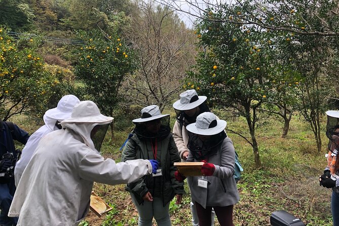 Visiting Beekeeper and Beeswax Craft Making in Bungoono City - Key Takeaways