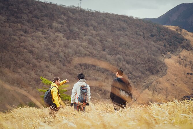 Mt. Yufu Grassland Private Hiking and Lunch - Key Takeaways