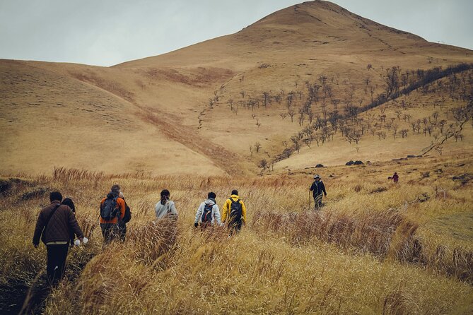 Mt. Yufu Grassland Private Hiking and Lunch - Lunch and Refreshments Included