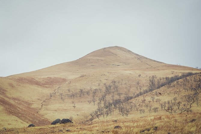 Mt. Yufu Grassland Private Hiking and Lunch - Transportation and Fitness Requirements