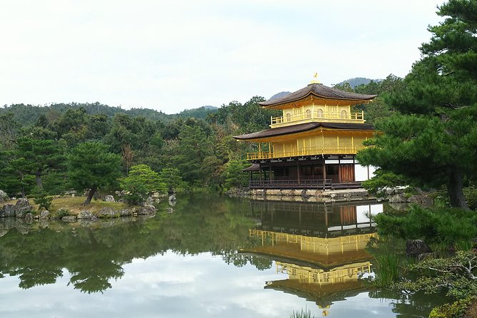 Kyoto Lazy Bird Tour - Testimonials and Reviews