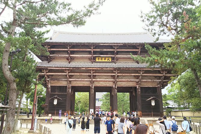 One-Day Tour of Amazing 8th Century Capital Nara - Key Takeaways