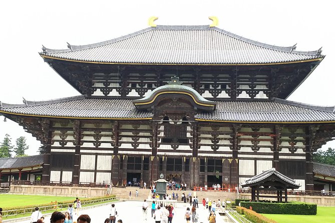 One-Day Tour of Amazing 8th Century Capital Nara - Tour Inclusions