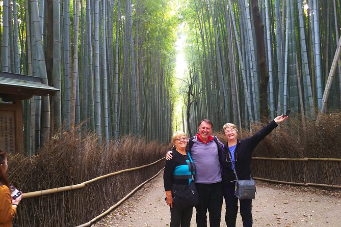 Kyoto Arashiyama & Golden Pavilion One Day Fulfilling Tour - Reviews and Guides