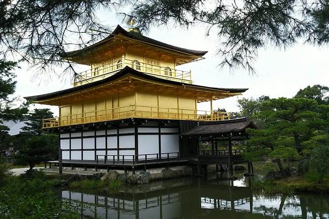 One Day Tour : Enjoy Kyoto to the Fullest! - Guide Experiences and Insights