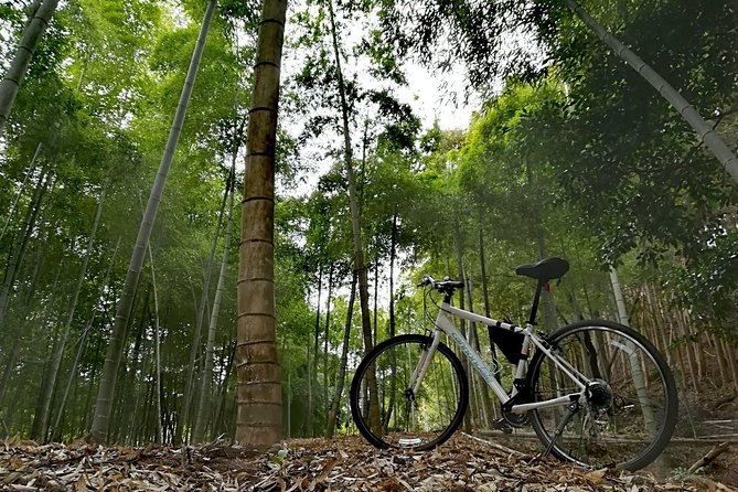 Arashiyama Bamboo Bike Tour (Early Bird) - Booking Information